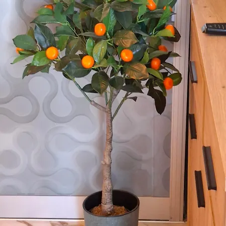 アパート Larenta стилни с 2 спални и гледка море в влас *