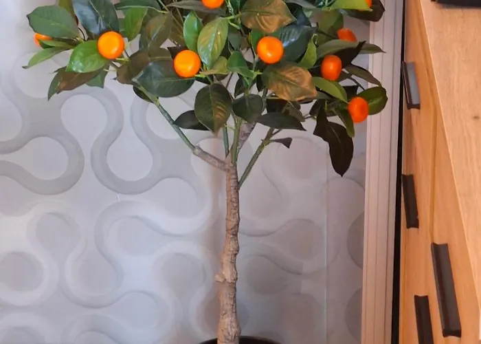 Apartment Larenta стилни с 2 спални и гледка море в влас *